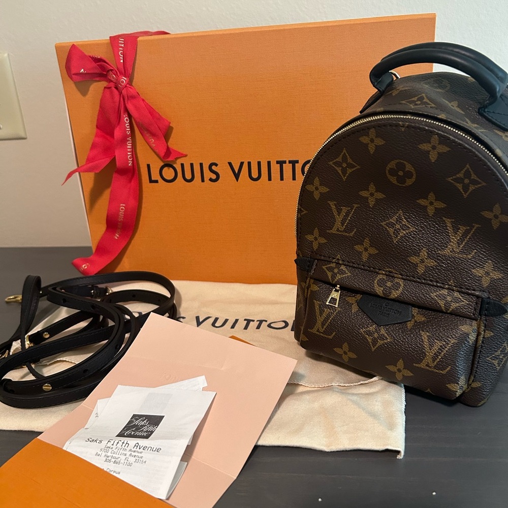 Louis Vuitton Palm Spring Mini